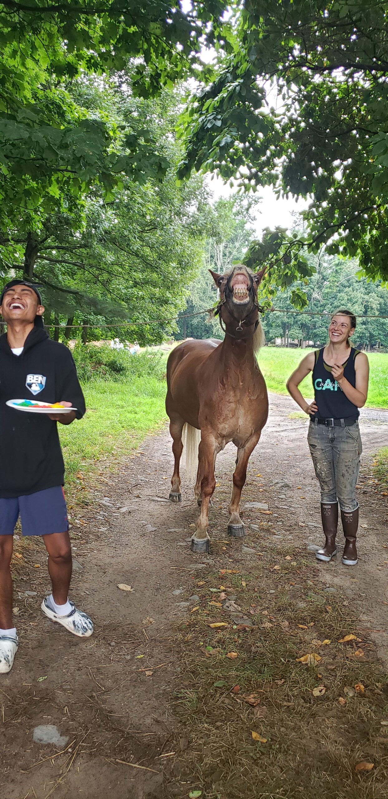 TCF-shannon-youth-programs-20220801-horse2